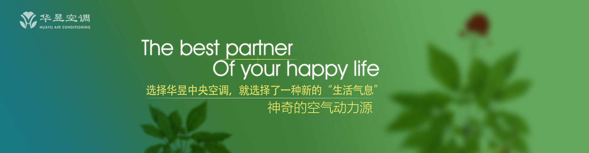 马工枚速网